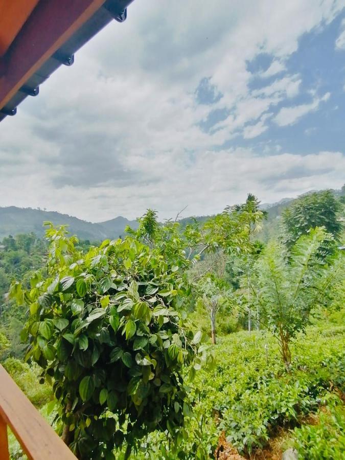 Green Nature Paradise Ella Exterior photo