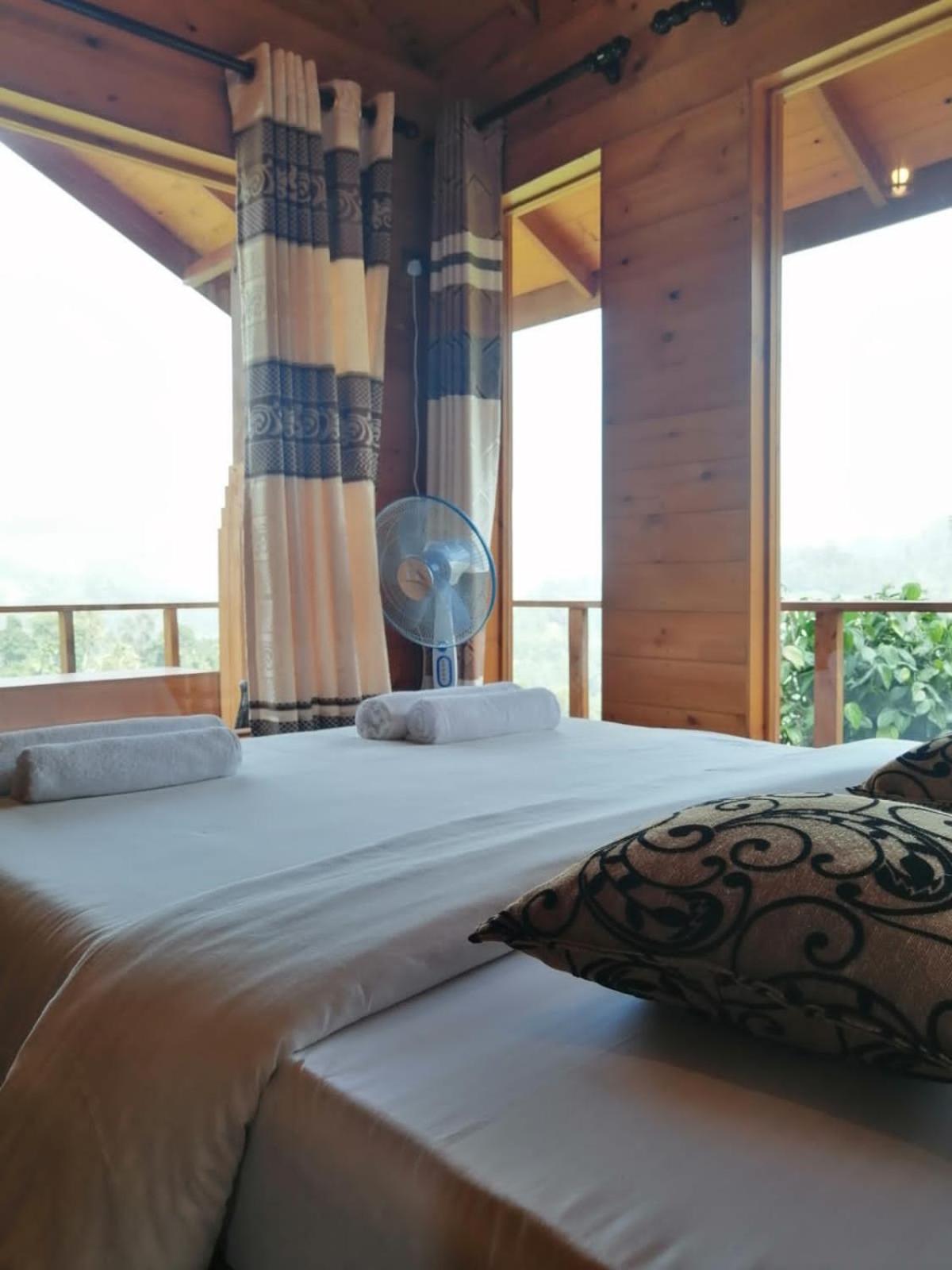 Green Nature Paradise Ella Room photo
